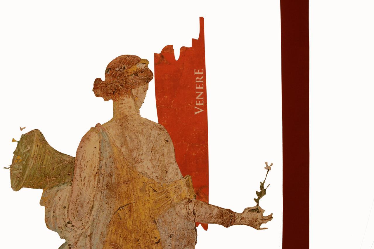 Bed and breakfast Passion Pompeya